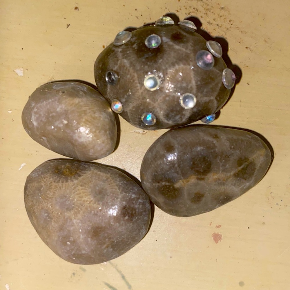 Michigan petoskey stones